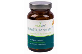 Weihrauch: Boswellia serrata 400 mg (90 Kaps.) von VITALSEE| Entzündungshemmer
