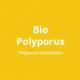 Bio Polyporus Vitalpilz (130 Kaps) vo MYKOPLAN | Immunmodulation, Blutdruck, Entwässerung