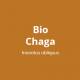 Bio Chaga Vitalpilz (130 Kaps) von MYKOPLAN | Entzündungen, Wundheilung