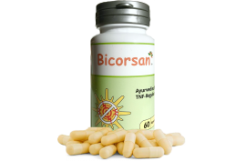 Bicorsan (60 Kaps.) von JABOSAN | bei Entzündungen