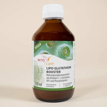 Lipo Glutathion Booster (250 ml) von MITOcare | Energie, Immunsystem