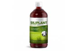 Silicium G7 Siliplant (1000 ml) von Silicium Laboratories | Hautgesundheit